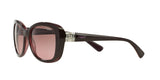194114 - Brown - Pink Gradient Brown
