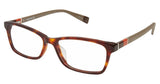 Vision's VIVISION239 Eyeglasses