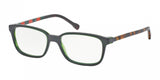 Polo 2113 Eyeglasses