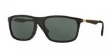 Ray Ban 4228F Sunglasses