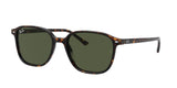 Ray Ban Leonard 2193F Sunglasses