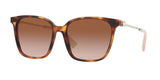 Valentino 4078F Sunglasses