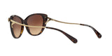 548574 - Dark Tortoise - Brown Gradient