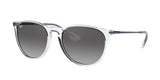 Ray Ban Erika 4171F Sunglasses