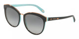 Tiffany 4146 Sunglasses