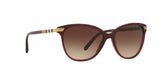 301413 - Bordeaux - Brown Gradient