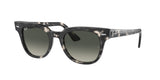 Ray Ban Meteor 2168 Sunglasses