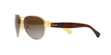 106/T5 - Gold - Brown Gradient Polarized