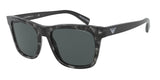 Emporio Armani 4142 Sunglasses