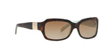 601/T5 - Havana - Polar Brown Gradient