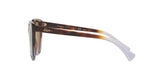 573683 - Dark Brown Polar