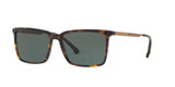 600171 - Dk Tortoise - Green Solid