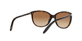 510/13 - Havana - Brown Gradient