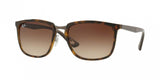 Ray Ban 4303 Sunglasses