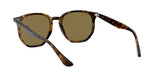 710/73 - Havana - Dark Brown