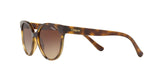 W65613 - Havana - Brown Gradient
