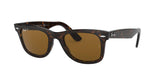 902/57 - Havana - Crystal Brown Polarized