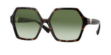 Valentino 4088 Sunglasses