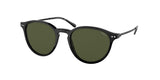 Polo 4169 Sunglasses