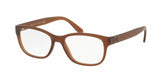 Polo 2160 Eyeglasses