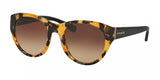 Coach 8167F Sunglasses