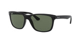 601 - Black - Crystal Green