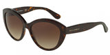 Dolce & Gabbana Contemporary 4239 Sunglasses