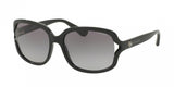 Coach L149 8169 Sunglasses