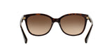529113 - Havana - Dark Brown Gradient