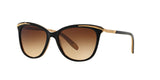 109013 - Black - Brown Gradient
