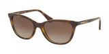 Ralph 5259 Sunglasses