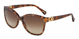 Dolce & Gabbana Iconic Logo 4162P Sunglasses