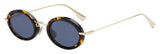 Dior Diorhypnotic2 Sunglasses