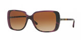 Burberry 4198 Sunglasses