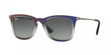 Ray Ban 4221 Sunglasses