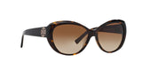 510/8 - Havana - Brown Gradient