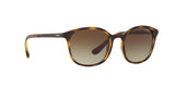 W65613 - Havana - Brown Gradient