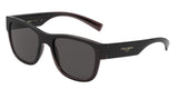 Dolce & Gabbana 6132 Sunglasses