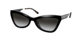 Michael Kors Valencia 2132U Sunglasses