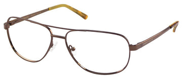 Perry Ellis 375 Eyeglasses