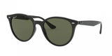 Ray Ban 4305F Sunglasses