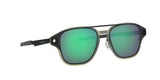 604208 - Black - Prizm Jade Polarized