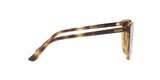 W65613 - Brown Gradient