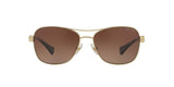 3211T5 - Gold - Brown Gradient Polarized