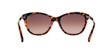 145714 - Havana - Brown Rose Gradient