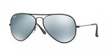 Ray Ban Aviator Full Color 3025JM Sunglasses