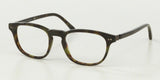 Polo 2107 Eyeglasses