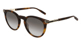 Montblanc Established MB0041S Sunglasses