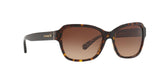 550713 - Dark Tortoise - Brown Gradient