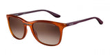 Carrera 6013 Sunglasses